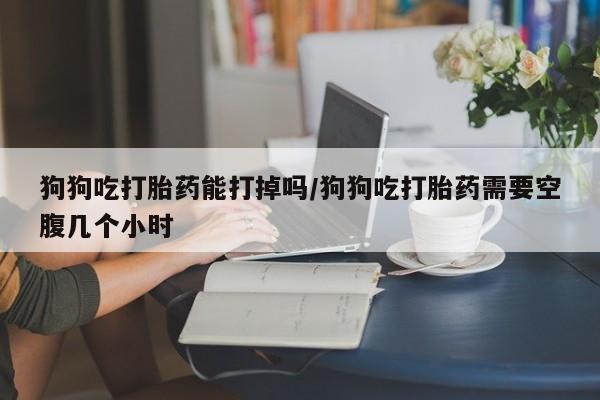 打胎药哪里能买到意外怀孕咨询狗狗吃打胎药能打掉吗/狗狗吃打胎药需要空腹几个小时